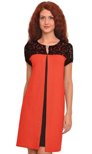 2081 ������ ����-����������